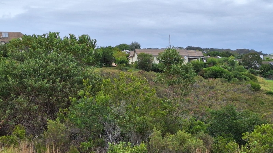 0 Bedroom Property for Sale in Baron View Western Cape